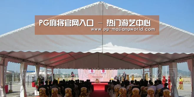 案例标题三